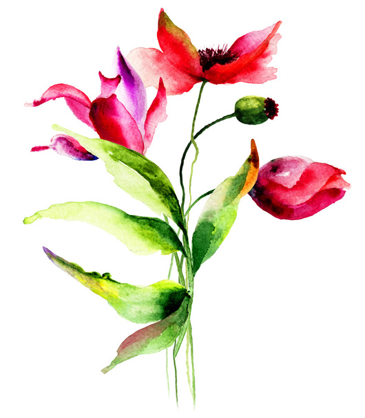 Tulips and Poppy flowers  - Foto, Imagem