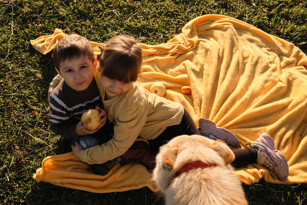 Charmante kaukasische Kinder. Verbringen Sie Ihre Kindheit in der Natur. Junge hält Apfel in der Hand und Hund kommt und schaut. Kleine Geschwister sitzen im Park bei Sonnenuntergang auf einer gelben Decke und umarmen sich. - Foto, Bild