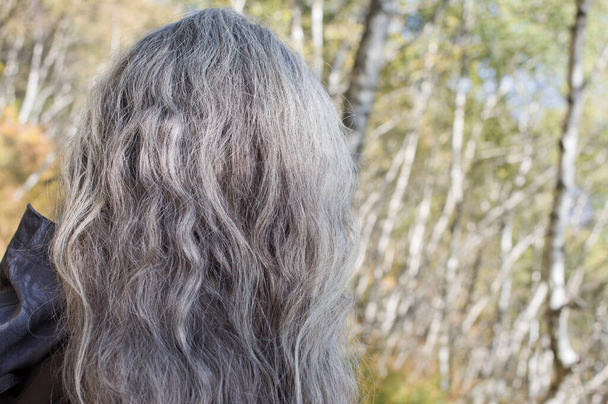 pelo gris Mujer sobre fondo de bosque de abedul - Foto, Imagen