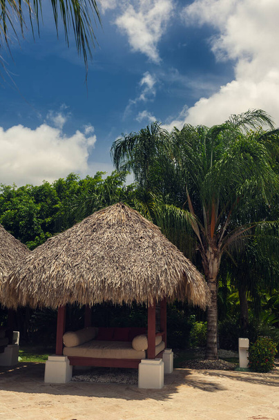 Golf course in Dominican republic. field of grass and coconut palms on Seychelles island. - Φωτογραφία, εικόνα