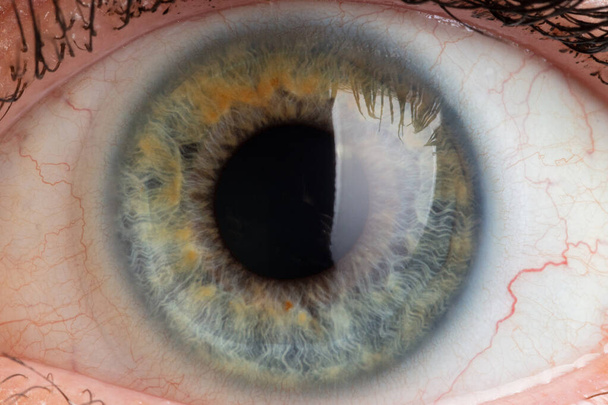 blue pupil on the eye close-up - Foto, afbeelding