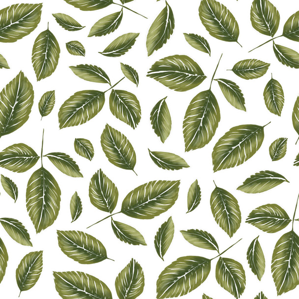 Twigs with green leaves on a white background. Seamless pattern.  - Foto, imagen