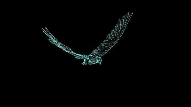 3D ilustrace - drátěný rám Falcon Gliding a Flapping na černém pozadí  - Fotografie, Obrázek