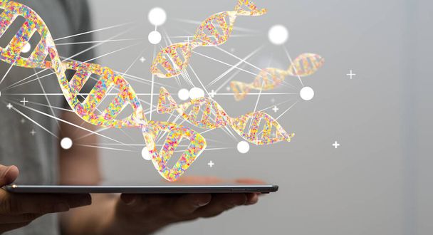 DNA-säikeiden 3D-mallinnus hologrammi, joka heijastuu ammattilaisen tabletista - Valokuva, kuva