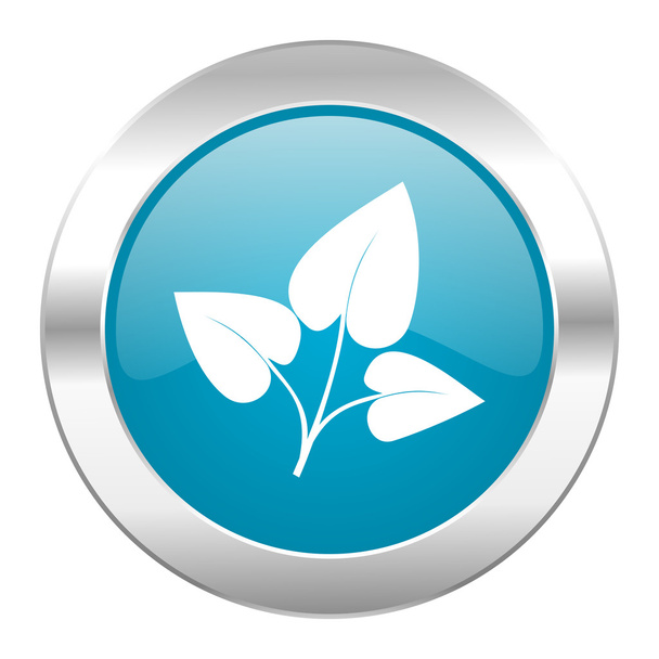 leaf internet blue icon - Valokuva, kuva