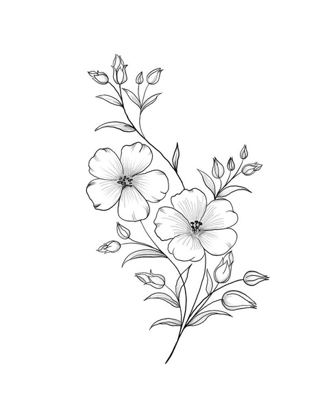 Kwiaty Periwinkle. Rysunek dłoni. Zarys. Na białym tle. Piękny szkic tatuażu - delikatna gałązka z kwiatami. element projektu botanicznego - Zdjęcie, obraz