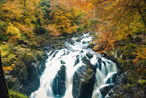 a beautiful view of a waterfall and autumn colorful trees around - Фото, зображення