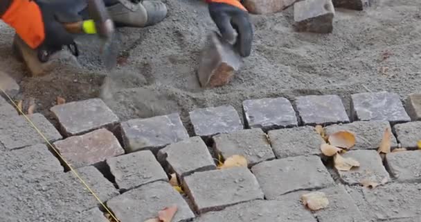 Le maître en gants pose des pavés en couches route en pierre par un travailleur de pavage professionnel - Séquence, vidéo