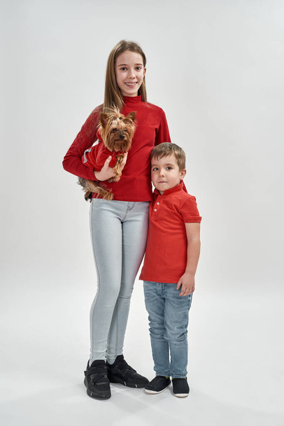 Girl with Yorkshire Terrier dog and little boy - Φωτογραφία, εικόνα