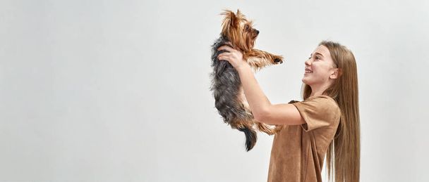 Girl hug and look on furry Yorkshire Terrier dog - Zdjęcie, obraz