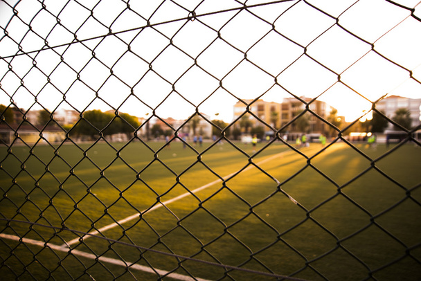 Football field - Фото, изображение