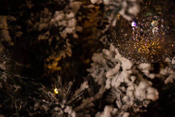 transparent Christmas tree toy on a snowy pine branch. close . - 写真・画像