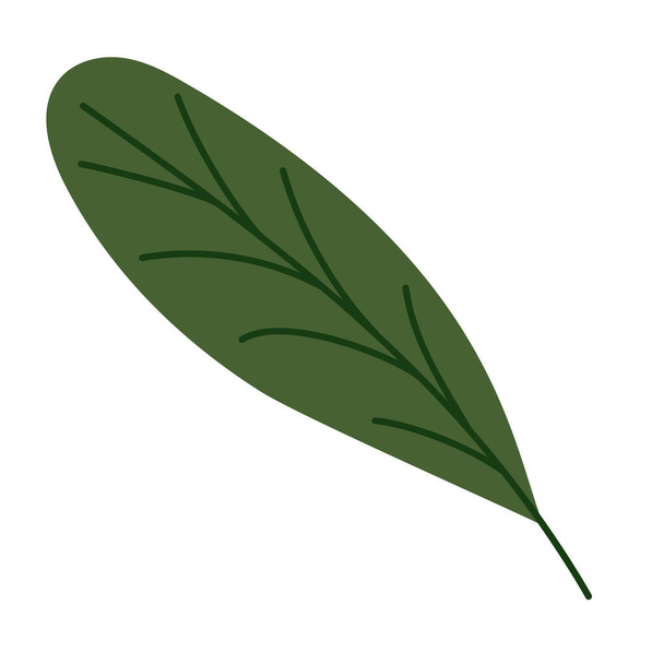 Pěkný zelený list - Vektor, obrázek