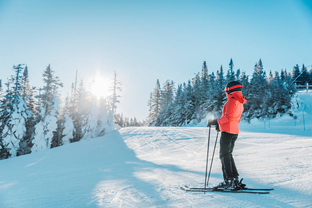 Άλπεων Downhill σκι. Πορτραίτο σκι γυναίκας αλπικού σκιέρ φορώντας σκι, κράνος, δροσερά γυαλιά σκι και σκληρό κέλυφος χειμερινό σακάκι και γάντια σκι την κρύα μέρα από χιονισμένα δέντρα σε πίστα σκι - Φωτογραφία, εικόνα