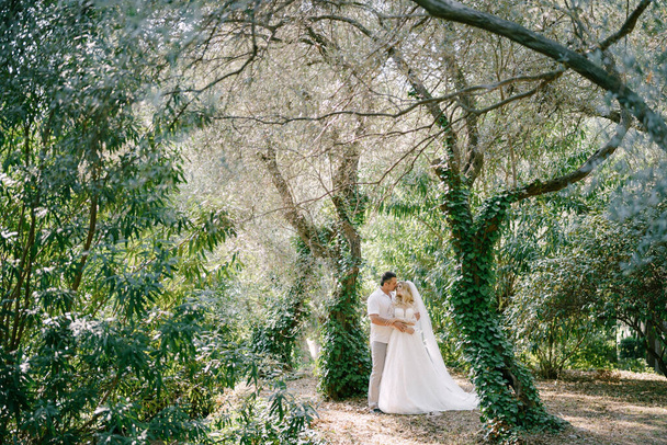 Noiva e noivo em um estande vestido branco no parque entre as árvores - Foto, Imagem