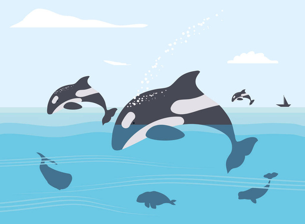 jumping killer whales - Διάνυσμα, εικόνα