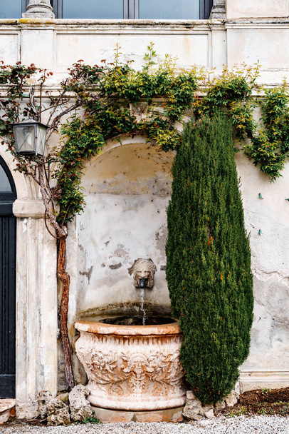 ライオンの頭を持つ壁のニッチ噴水。Villa Monastero,コモ湖,イタリア - 写真・画像