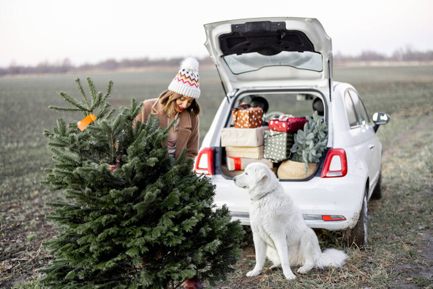 Donna con albero di Natale e cane vicino auto sulla natura - Foto, immagini