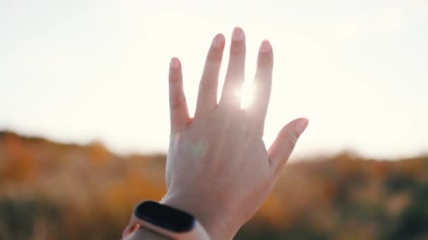 Жіноча рука над фоном заходу сонця. Сонячні промені через пальці. Свобода, ілюзія та концепція натхнення
 - Кадри, відео