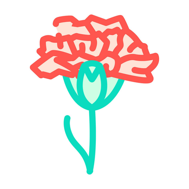 γαρύφαλλο λουλούδι εικονογράφηση διάνυσμα χρώμα - Διάνυσμα, εικόνα