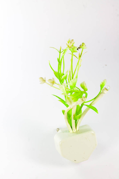 пластикові рослини використовуються для спальних ламп на ізольованому білому фоні
.  - Фото, зображення