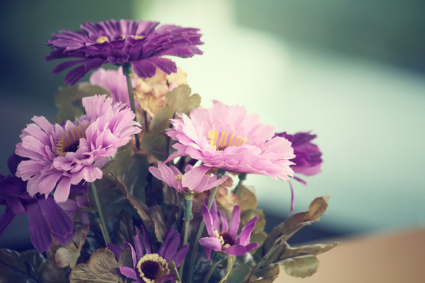 Rózsaszín és lila virágok - Fotó, kép
