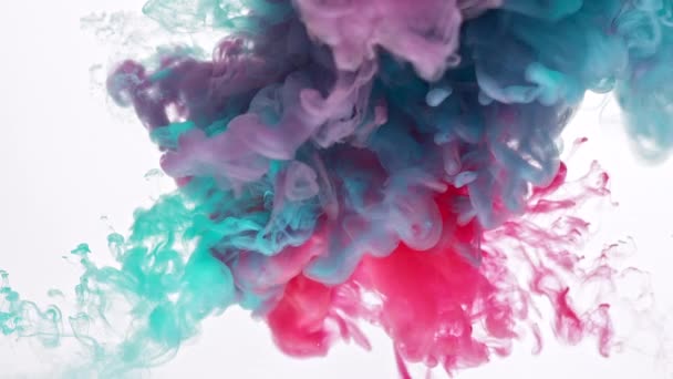Rózsaszín orgona és kék festékek keveréke - Felvétel, videó