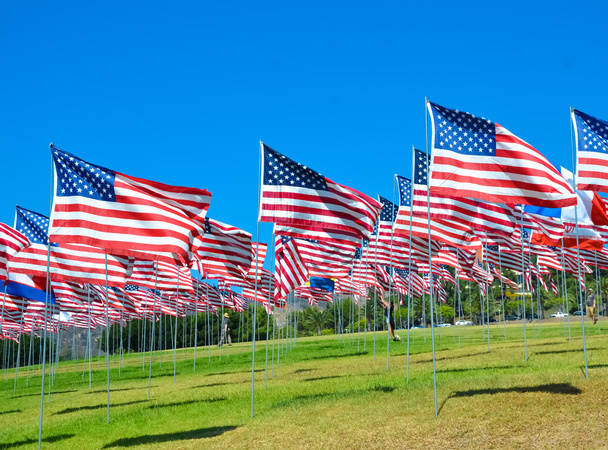 Amerikai zászlók mező - Fotó, kép