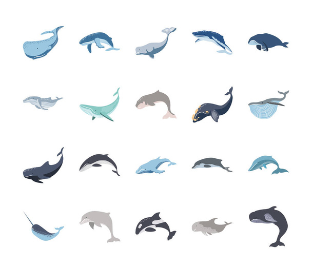 Wale und Delfine - Vektor, Bild