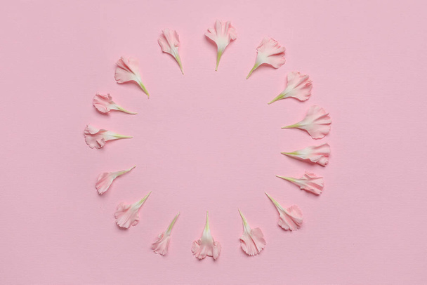 Marco hecho de pétalos de flores sobre fondo rosa - Foto, imagen