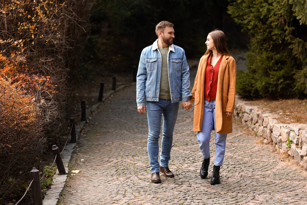 Hermosa pareja caminando en el parque de otoño - Foto, imagen