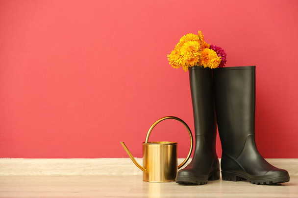 Pair of rubber boots, flowers and watering can against color wall - Photo, Image