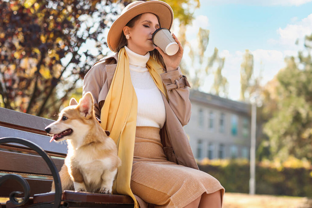 Stijlvolle jonge vrouw met schattige Corgi hond drinken van koffie op bank in de herfst park - Foto, afbeelding