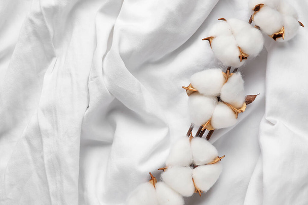 Fleurs de coton sur fond de tissu blanc - Photo, image