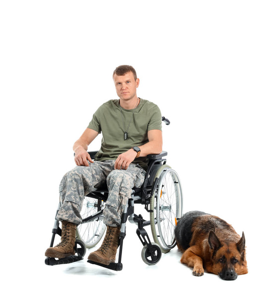 Στρατιώτης σε αναπηρική καρέκλα και στρατιωτικός σκύλος εργασίας σε λευκό φόντο - Φωτογραφία, εικόνα