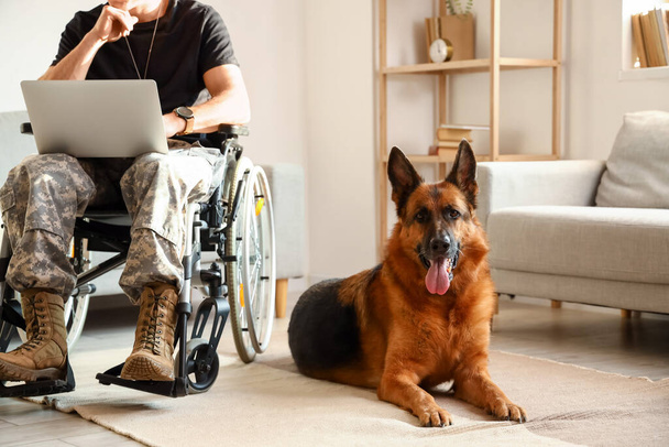 Soldier of USA army in wheelchair and his dog at home - Photo, Image