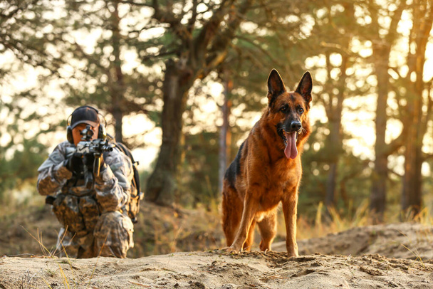 Солдат с военной рабочей собакой во время боевых действий на открытом воздухе - Фото, изображение