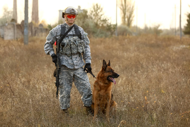 Askeri çalışan köpek açık havada asker - Fotoğraf, Görsel