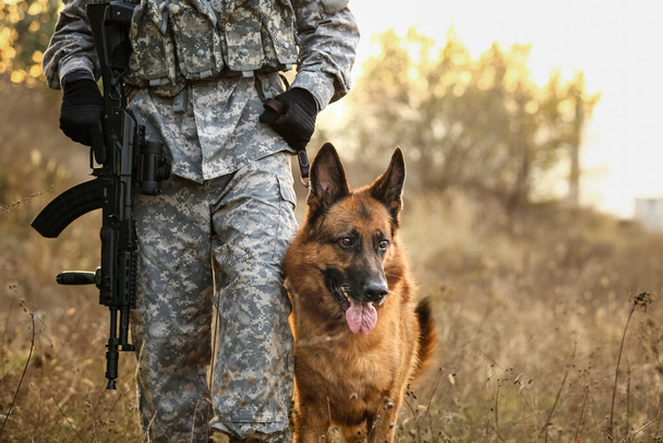 Soldier with military working dog outdoors - Zdjęcie, obraz