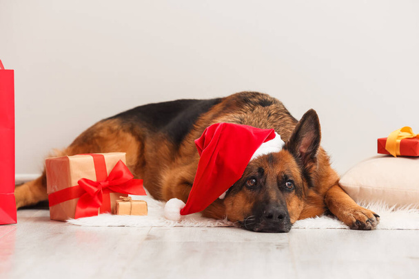Lindo perro pastor alemán en Santa sombrero y con regalos de Navidad en casa - Foto, imagen