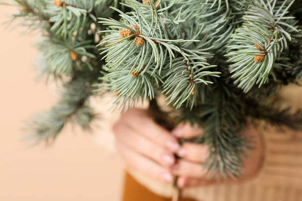 Beautiful fir tree branches in female hands, closeup - Φωτογραφία, εικόνα
