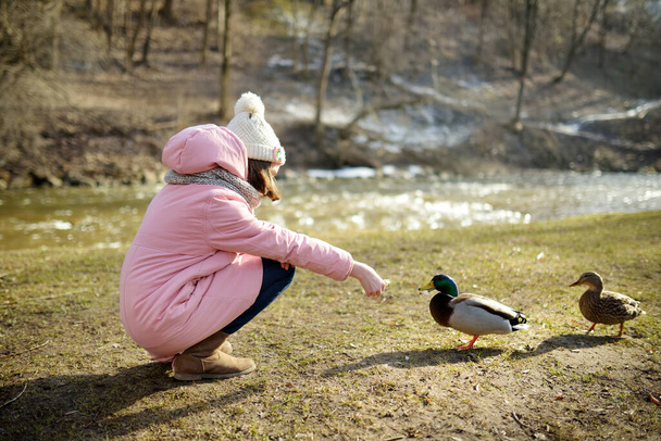 Cute young girl feeding ducks on sunny winter day in Vilnius, Lithuania. Helping city birds survive winter. Family activities in the snow. - Foto, Bild