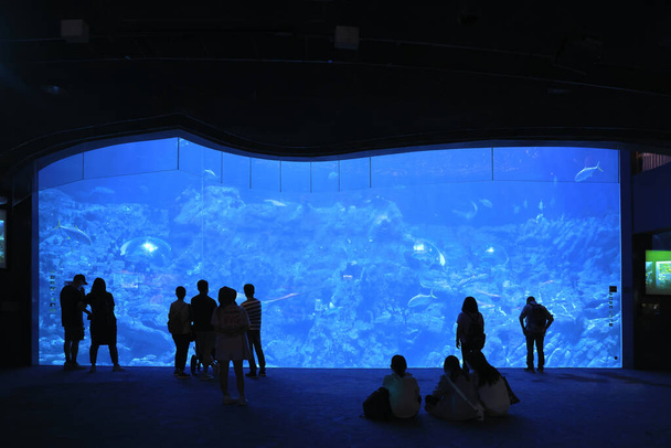 18 Nov 2021 Gente mirando acuario grande, parque oceánico Hong Kong - Foto, imagen