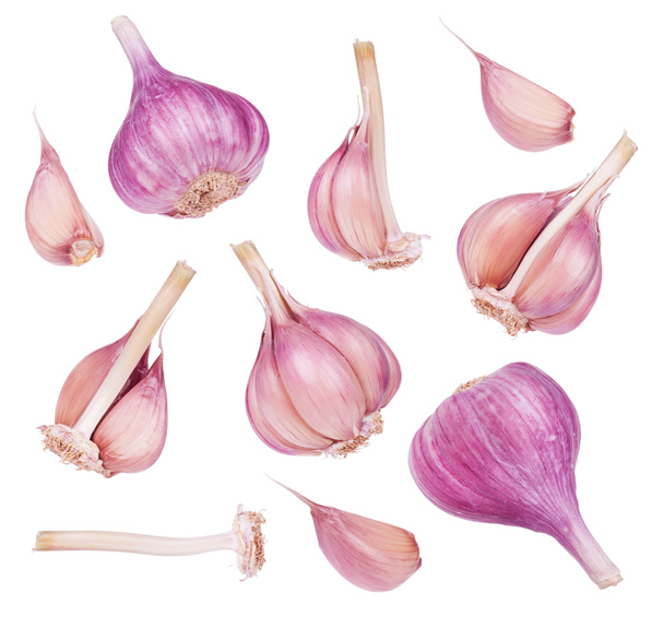 Fresh garlic - Photo, Image