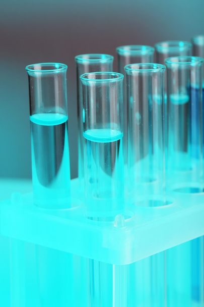Test tubes with liquid on grey background - Foto, afbeelding