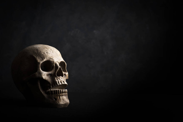 A closeup shot of a skull on a black background - Foto, afbeelding