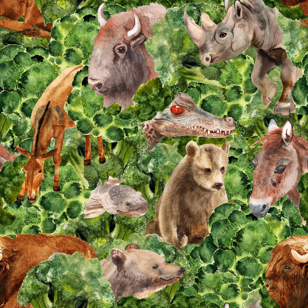 Animals in the forest - Zdjęcie, obraz