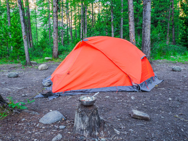 Лагерь в глубоком лесу. Апельсиновая палатка в хвойном горном лесу. Мир и отдых на природе. - Фото, изображение