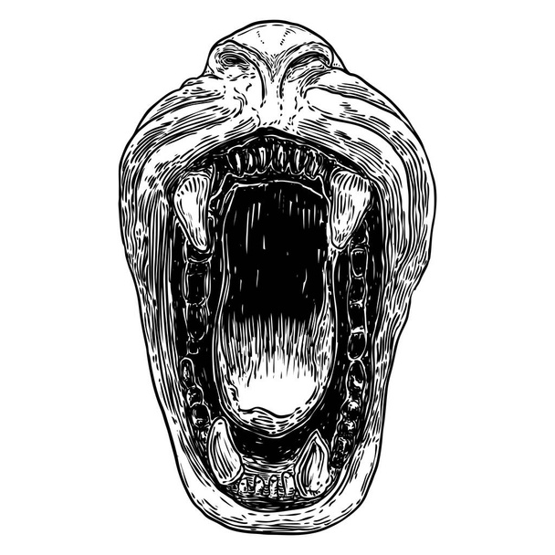 Beast open mouth with fangs and teeth. Monster maw jaw, werewolf or Carnivore animals. Vector.  - ベクター画像