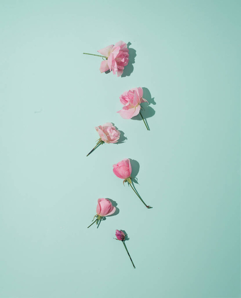 Composição de primavera de cores pastel. Rosas rosa naturais de leigos planos. - Foto, Imagem